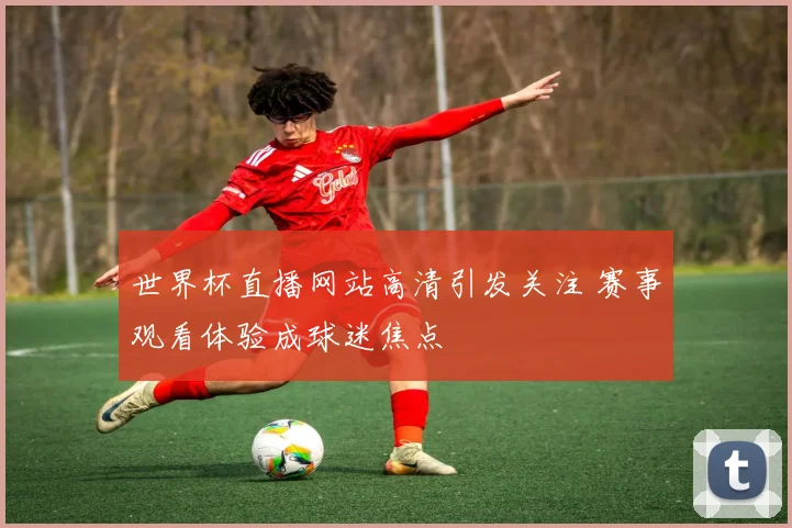 世界杯直播网站高清引发关注 赛事观看体验成球迷焦点