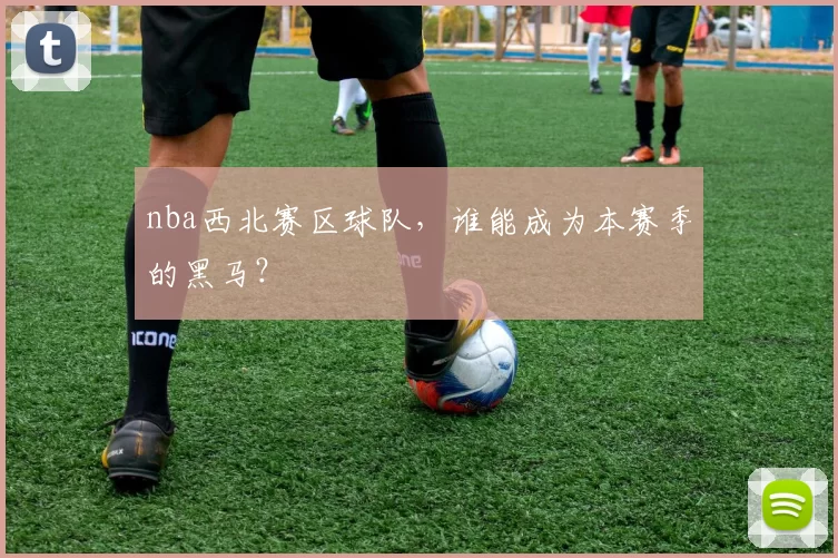 nba西北赛区球队，谁能成为本赛季的黑马？